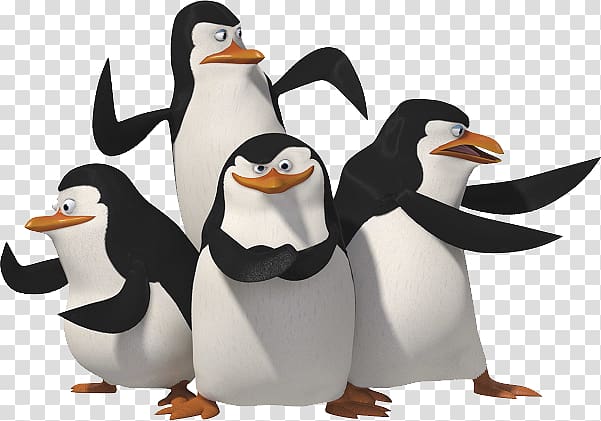 Madagascar penguins transparent background PNG clipart