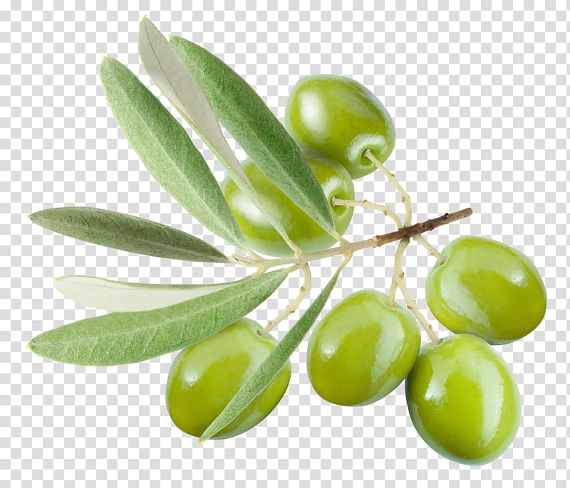 oval green fruit, Olive leaf Olive oil, Olives transparent background PNG clipart