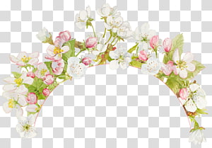 Нежность Transparent Background PNG Cliparts Free Download | HiClipart