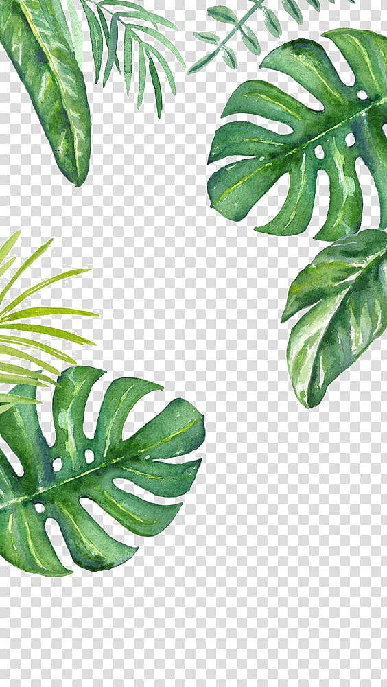 watercolor leaves transparent background PNG clipart