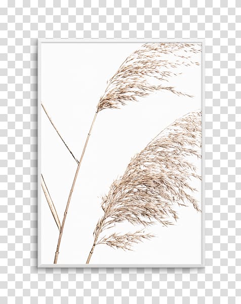 Fine-art Poster Printing, sea pasture transparent background PNG clipart