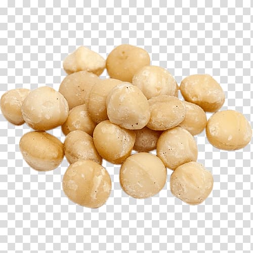 Organic food Macadamia Brazil nut Hazelnut, nuts transparent background PNG clipart