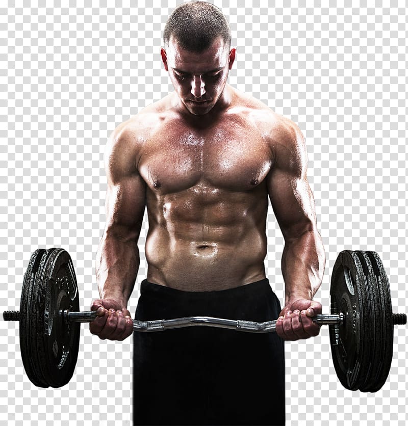 Weight training Fitness Centre Bodybuilding Olympic weightlifting Dumbbell, strong transparent background PNG clipart