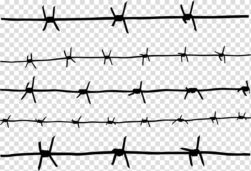 Barbwire transparent background PNG clipart