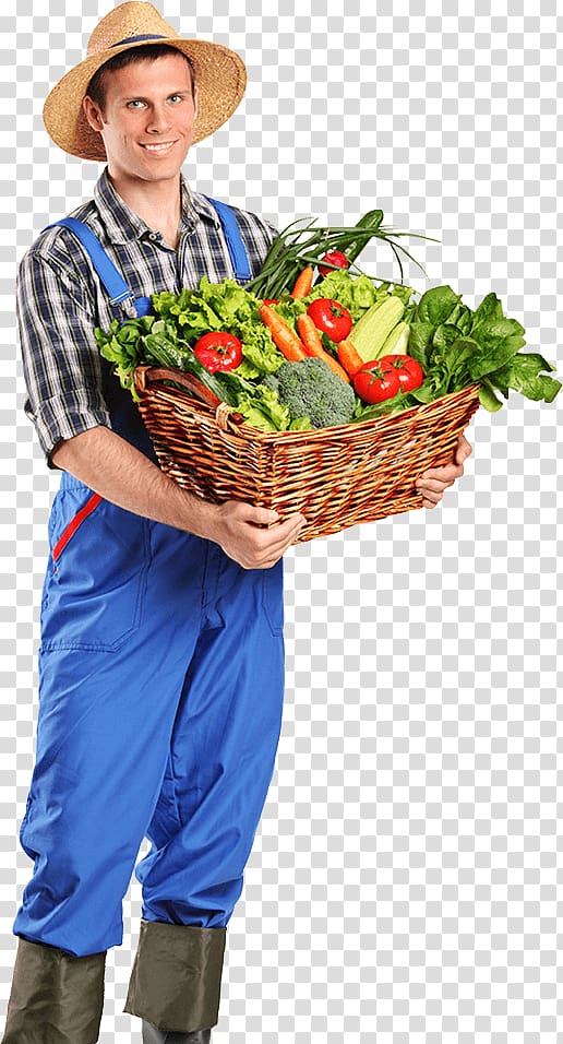 Organic food Farmer Agriculture Vegetable farming, vegetable transparent background PNG clipart