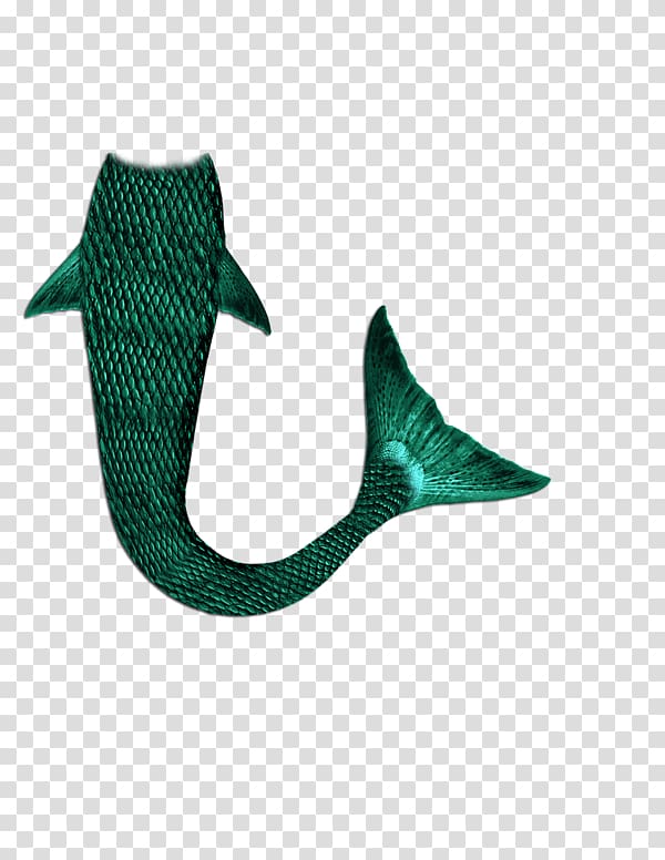 Mermaid Tail , Mermaid transparent background PNG clipart