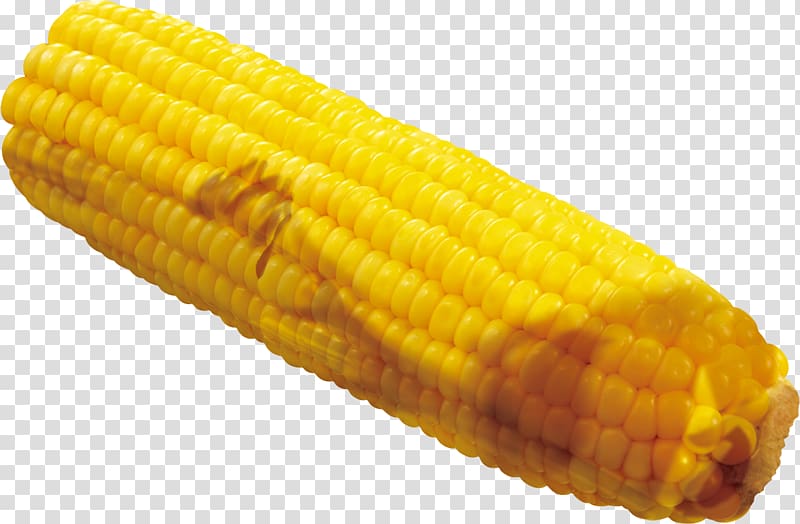 Corn on the cob Maize Crop Google s, A corn transparent background PNG clipart