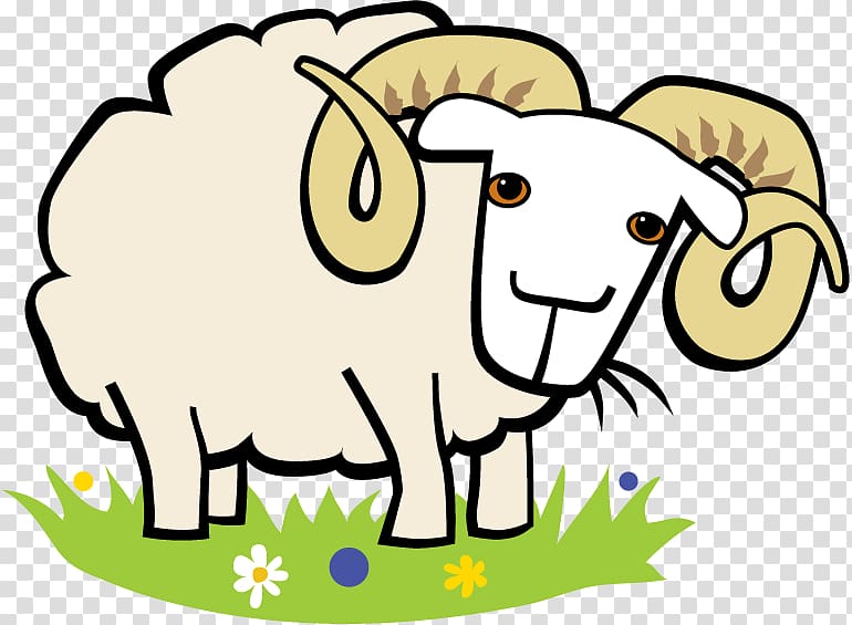 Sheep Brown\'s Folly Qurbani Aqiqah Cattle, sheep transparent background PNG clipart
