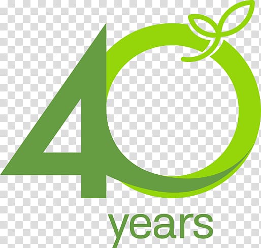 40 Years Anniversary Celebration Elegant Gold Logo Vector Template Design  Illustration 2110379 Vector Art at Vecteezy