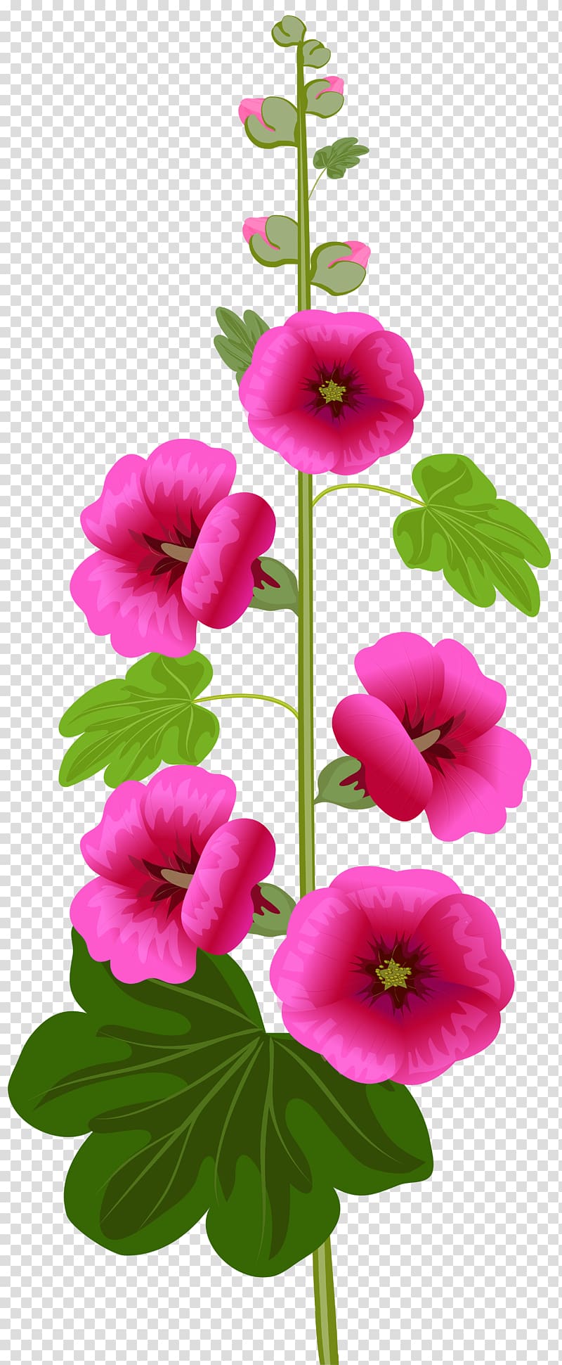 Blessing Love , Free Impatiens transparent background PNG clipart