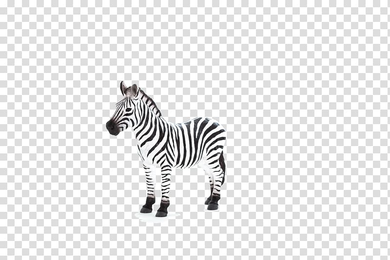 Lion Zebra Animal Planet Cat, lion transparent background PNG clipart