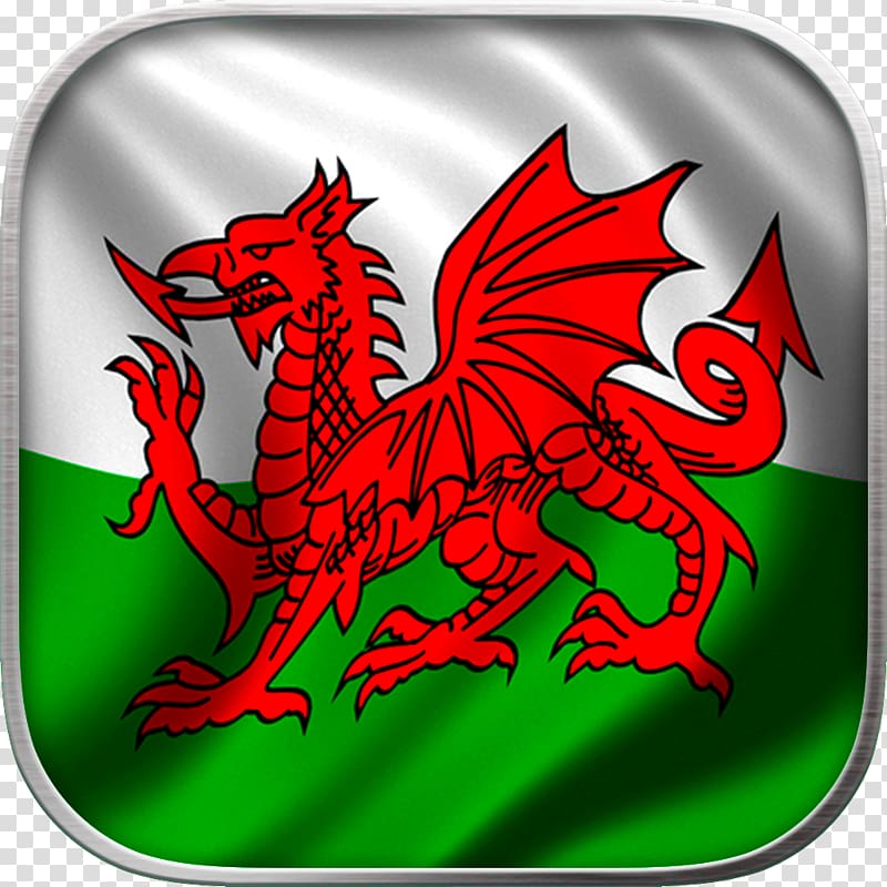 Flag of Wales Principality of Wales Welsh Dragon, Flag transparent background PNG clipart