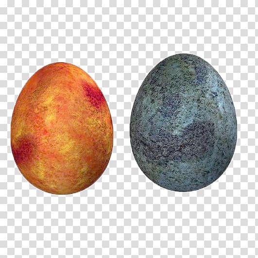 Chicken or the egg Dinosaur egg, 2 dinosaur eggs transparent background PNG clipart