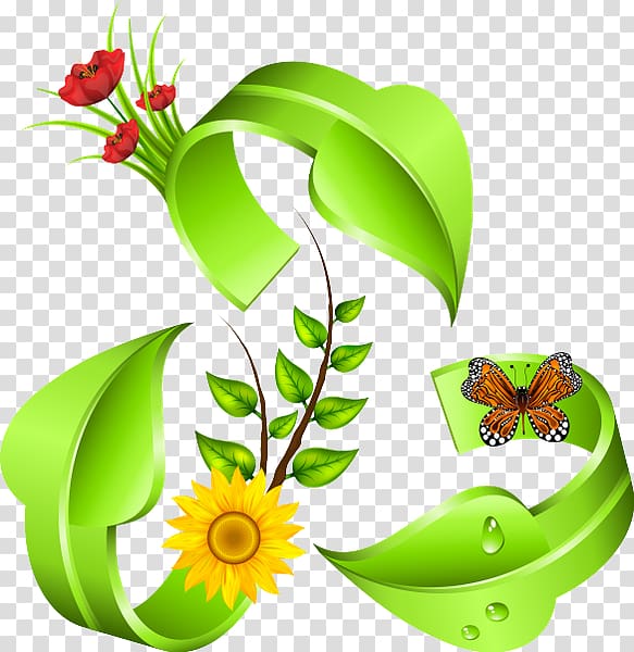 Environmental protection Floral design Environmental movement Natural environment Environmentally friendly, natural environment transparent background PNG clipart