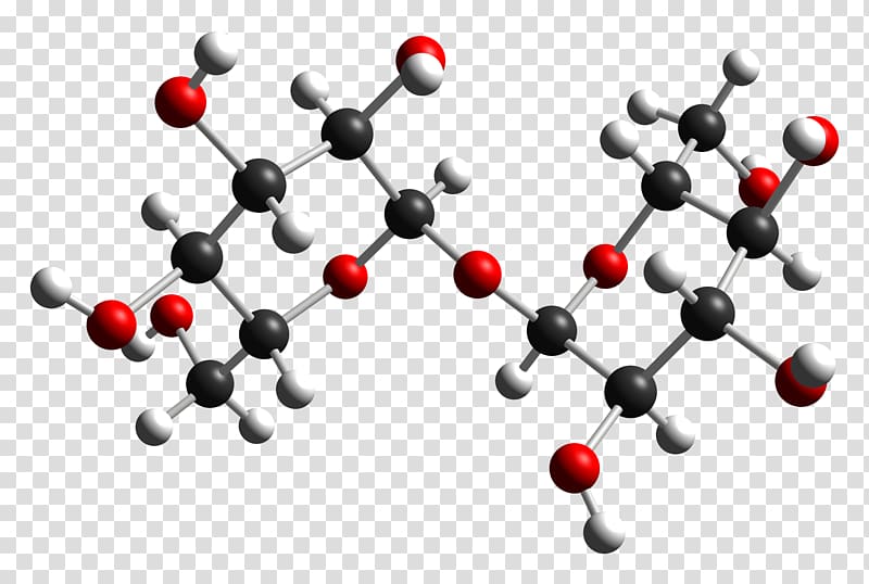 Trehalose Disaccharide Glucose Molecule Fungus, molecule transparent background PNG clipart