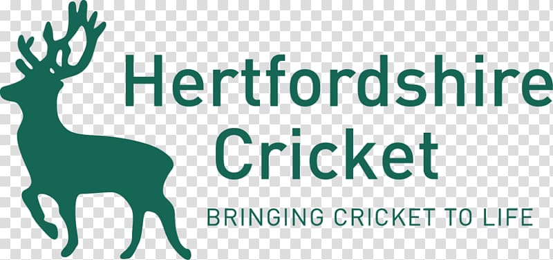 Hertfordshire County Cricket Club Essex County Cricket Club Kolkata Knight Riders Hertfordshire Cricket League, cricket transparent background PNG clipart