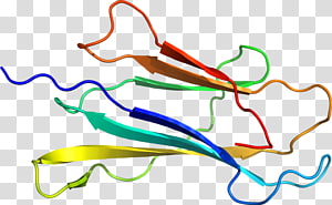 Line Point , line transparent background PNG clipart thumbnail