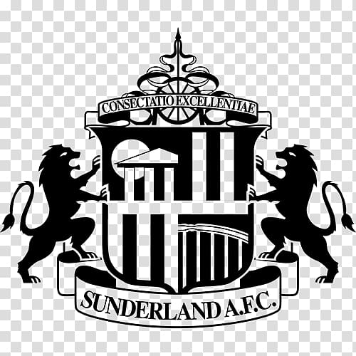 Sunderland A.F.C. Ladies Premier League Stadium of Light Newcastle United F.C., premier league transparent background PNG clipart