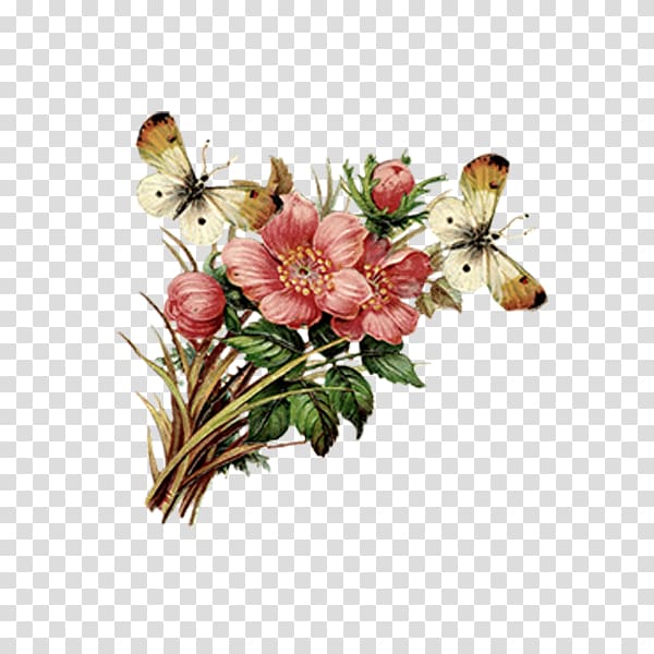 Condolence book Condolences Sympathy Greeting card, butterfly transparent background PNG clipart