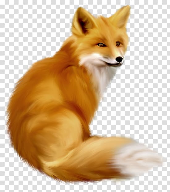Fox , Painted Fox , brown fox sticker transparent background PNG clipart