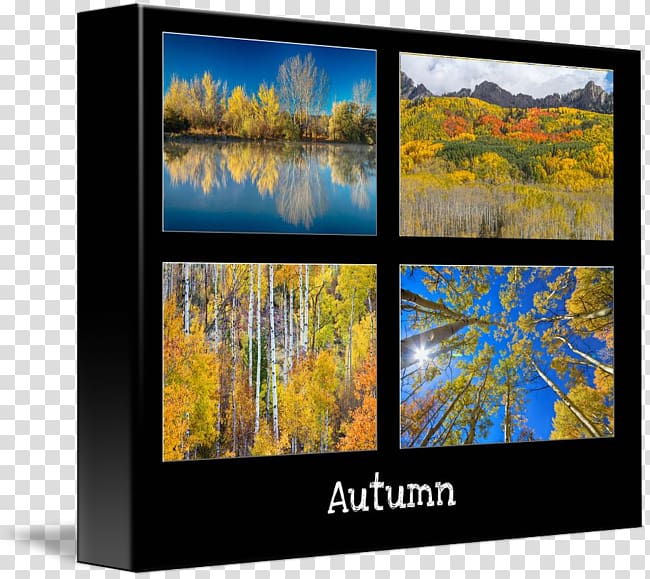 Television Autumn Aspen Modern art Gallery wrap, autumn price to transparent background PNG clipart