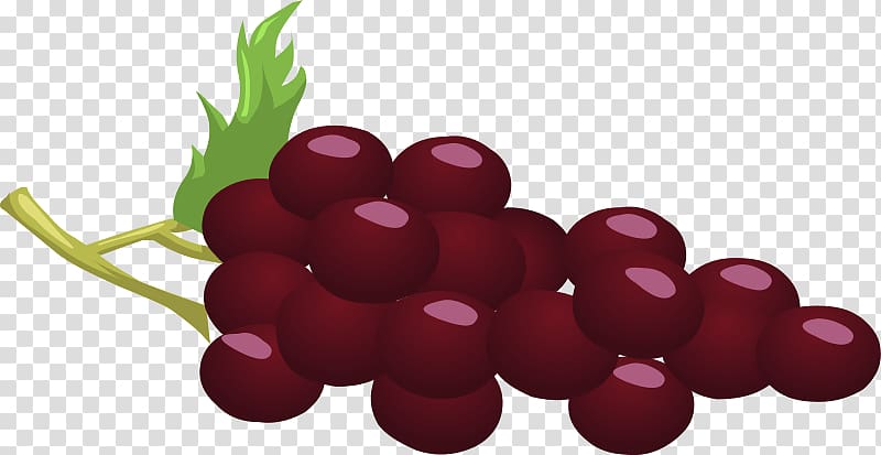 Common Grape Vine Wine Concord grape , Wine Grapes transparent background PNG clipart