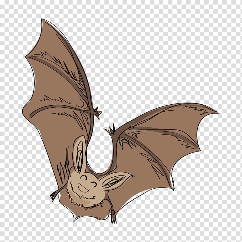 Bat Drawing Sketch, cartoon bats transparent background PNG clipart