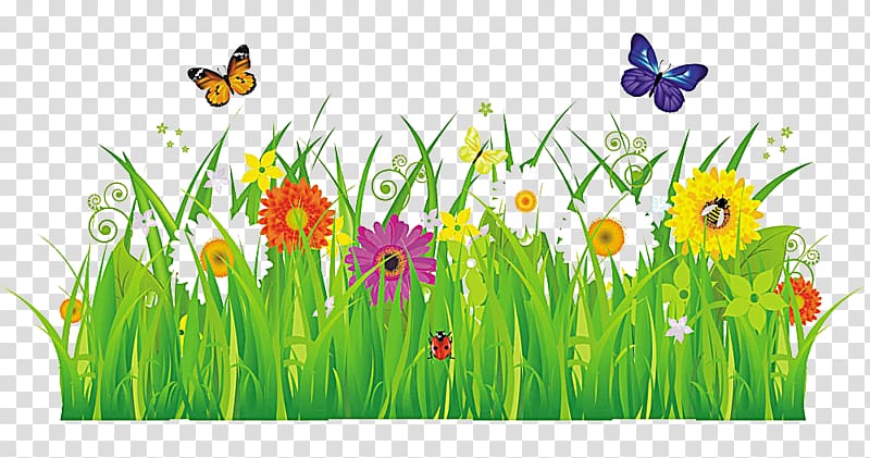 Insect Flower , Grass flowers transparent background PNG clipart