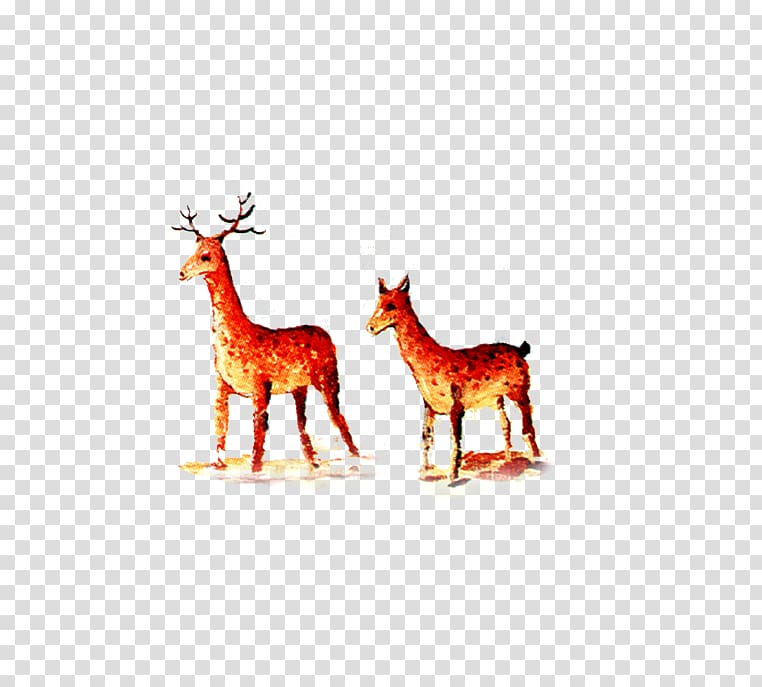Reindeer Giraffe Antler Text Illustration, Deer transparent background PNG clipart