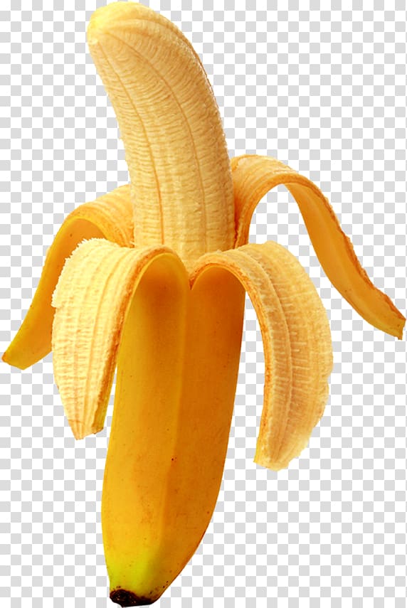 Free: Banana Fruit Clipart - Banana Png 