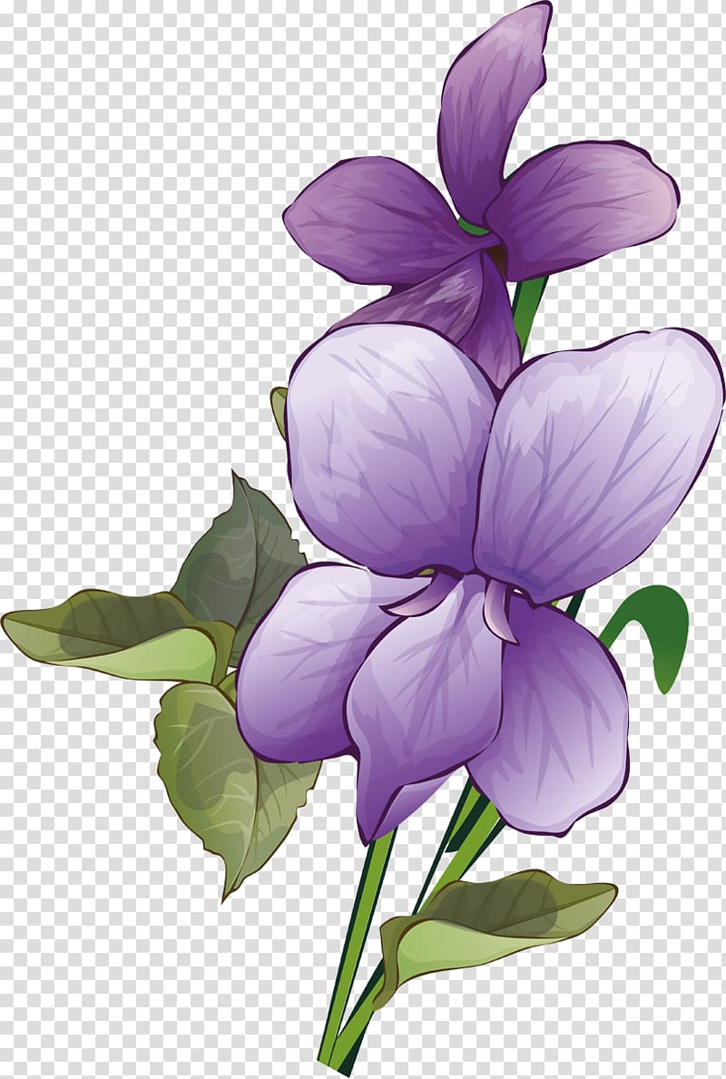 Plant stem Herbaceous plant, Violets transparent background PNG clipart