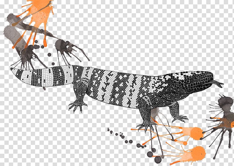 Gila monster Lizard Exenatide Venom Eidechse, lizard transparent background PNG clipart