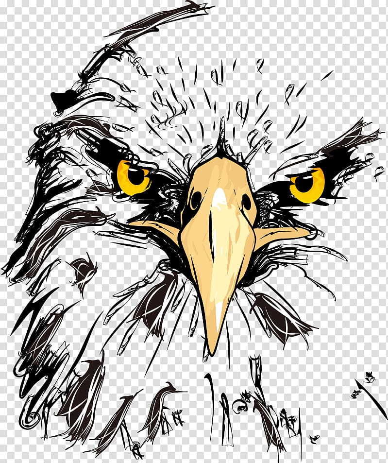 brown, gray, and black eagle face illustration, Bald Eagle Drawing Sketch, Printed Owl transparent background PNG clipart