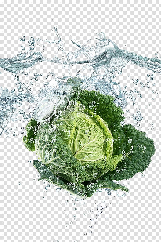 Leaf vegetable High-definition television Display resolution , Surrounded by water cabbage transparent background PNG clipart