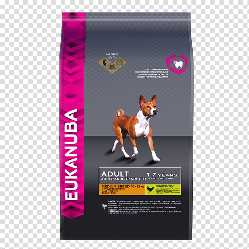 Rough Collie Puppy Eukanuba Dog Food Pet, Springer Spaniel transparent background PNG clipart