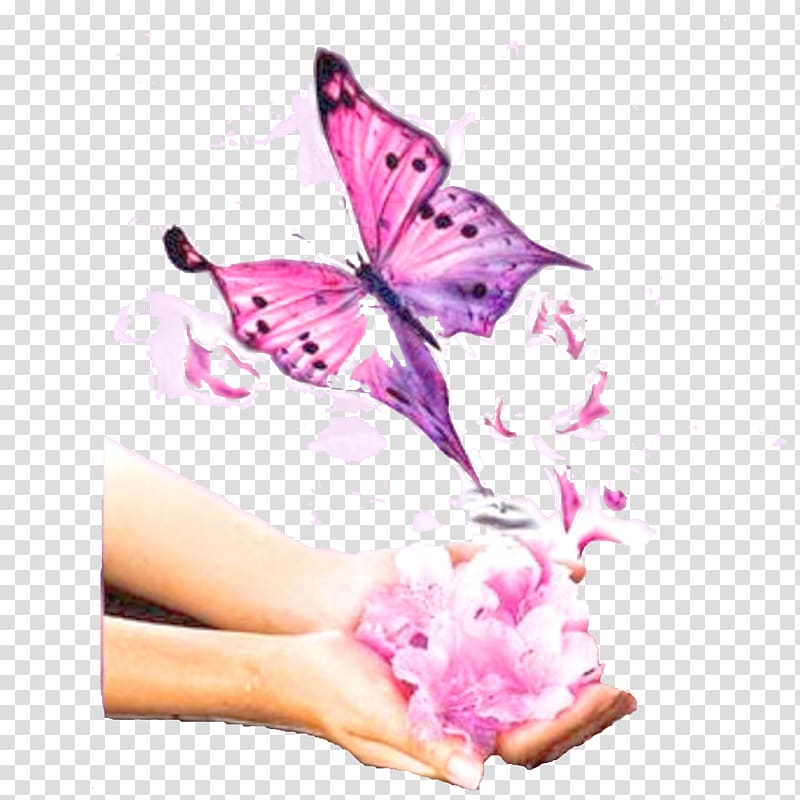 Banaswadi Srishti School of Art Design and Technology Coventry Nail Monarch butterfly, Nail transparent background PNG clipart