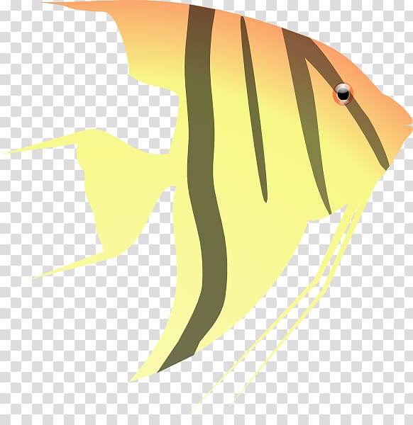 Pterophyllum altum Fish , Cute Angelfish transparent background PNG clipart