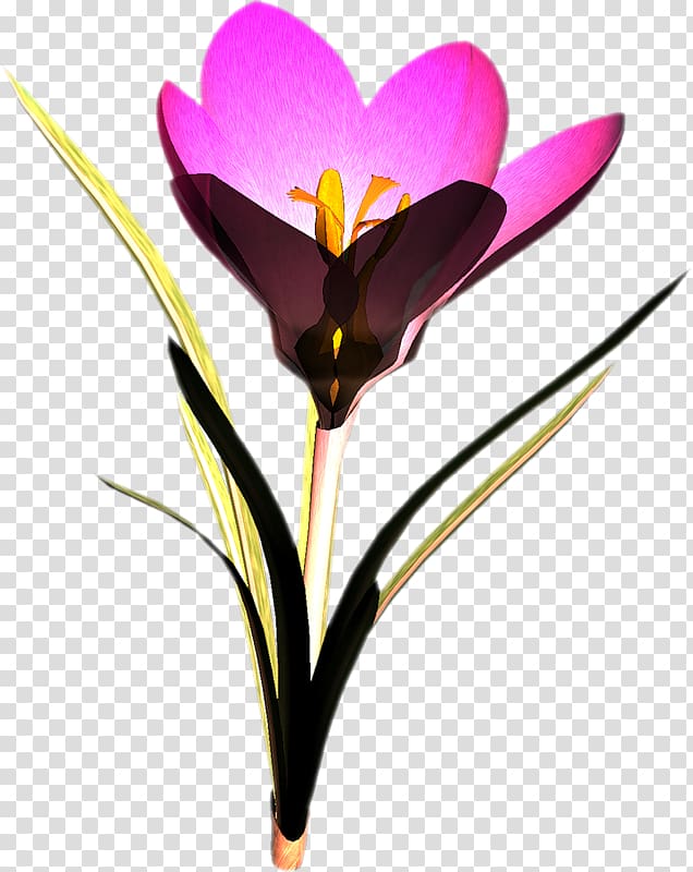 Crocus Flower Snowdrop , crocus transparent background PNG clipart