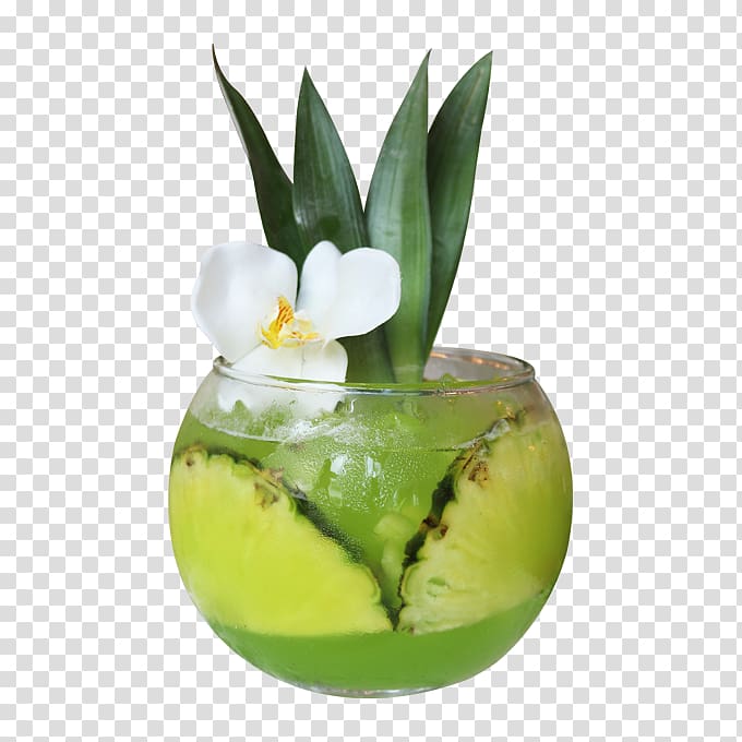 Cocktail garnish Caipirinha Coconut water Drink Pineapple, fresh cucumber slices hq transparent background PNG clipart
