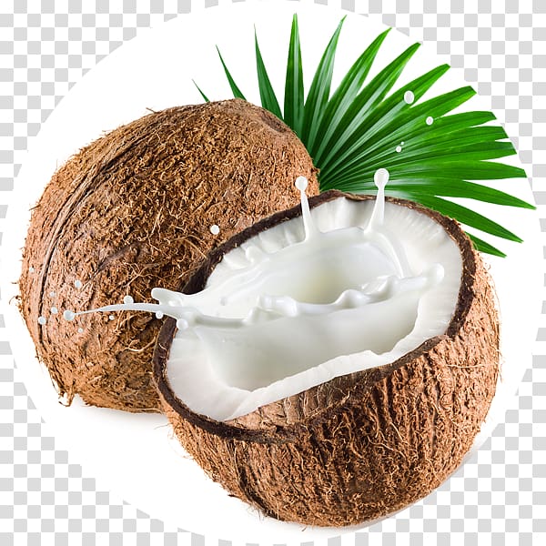 Coconut milk Ice cream Flavor, coconut transparent background PNG clipart