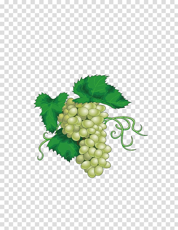 Chenin blanc Wine Juice Grape, Delicious green grapes transparent background PNG clipart
