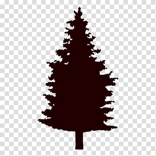 Pine Fir Tree Conifers, tree transparent background PNG clipart