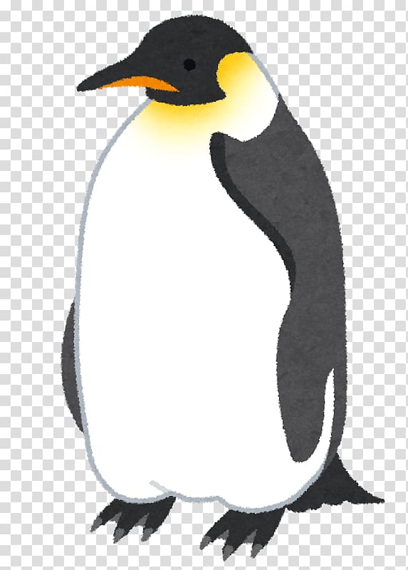 King penguin Emperor Penguin いらすとや, three penguins transparent background PNG clipart