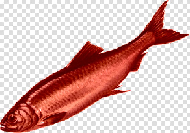 Red herring TV Tropes Fish Idiom, others transparent background PNG clipart