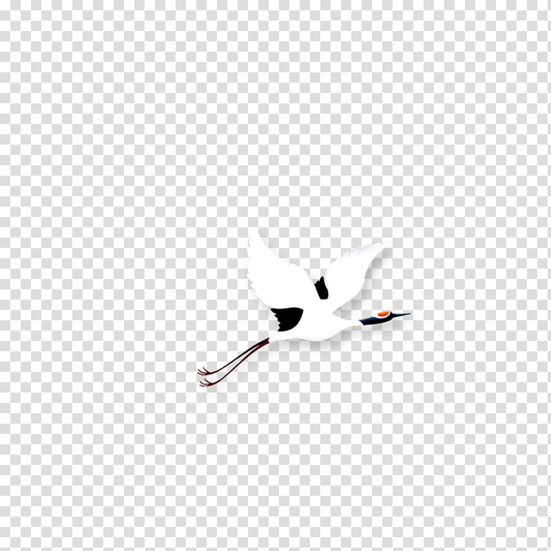 White , crane transparent background PNG clipart