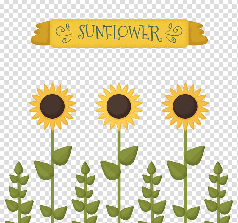 Common sunflower Sunflower seed Drawing Illustration, Lovely Sunflower transparent background PNG clipart