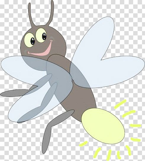 Insect Drawing Firefly , Cartoon Firefly transparent background PNG clipart