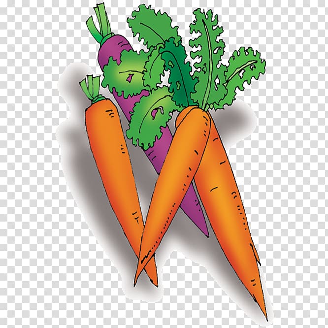 Carrot Vegetable Cartoon, Vegetable carrot transparent background PNG clipart