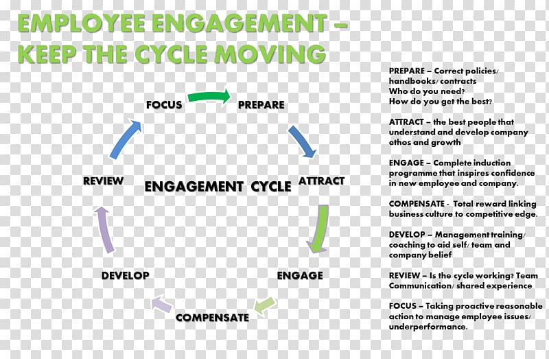 Organization Employee engagement Business Human resource consulting, Business transparent background PNG clipart