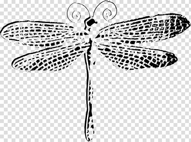 Dragonfly Insect Computer Icons , dragonfly transparent background PNG clipart